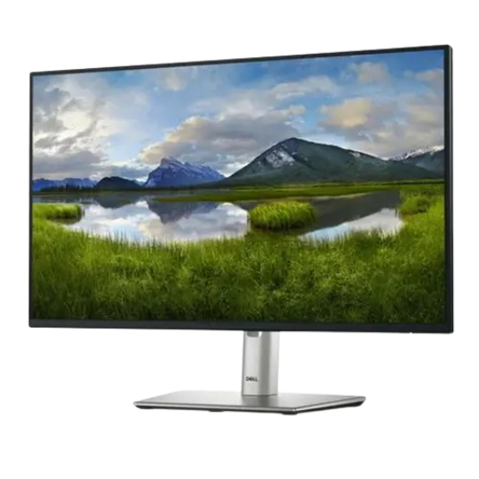 Dell Monitor